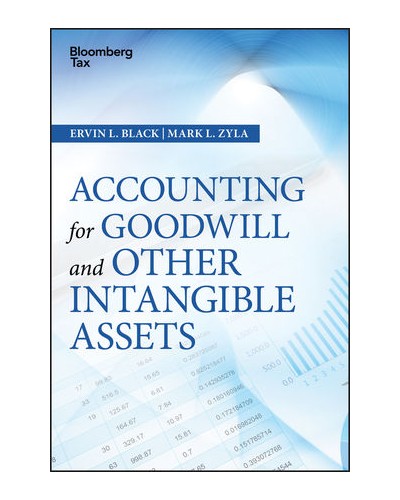 Accounting for Goodwill and Other Intangible Assets