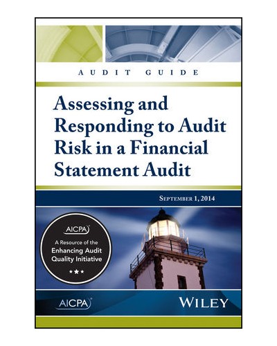 Audit Guide: Assessing & Responding To Audit Risk In a Financial Statement Audit
