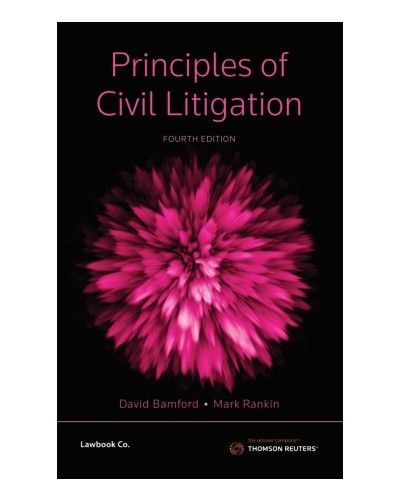 Principles of Civil Litigation 4th Edition
