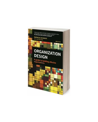 Organization Design: A Guide to Building Effective Organizations, 2nd Edition