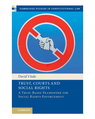 Trust, Courts and Social Rights: A Trust-Based Framework for Social Rights Enforcement