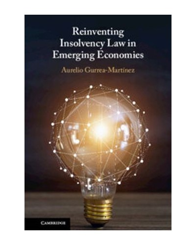 Reinventing Insolvency Law in Emerging Economies