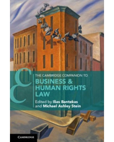 The Cambridge Companion to Business and Human Rights Law