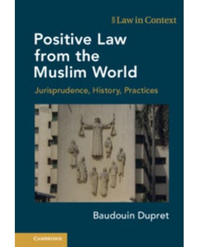 Positive Law from the Muslim World: Jurisprudence, History, Practices
