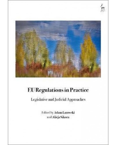 EU Regulations in Practice: Legislative and Judicial Approaches