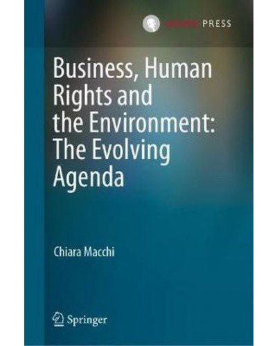 Business, Human Rights and the Environment: The Evolving Agenda