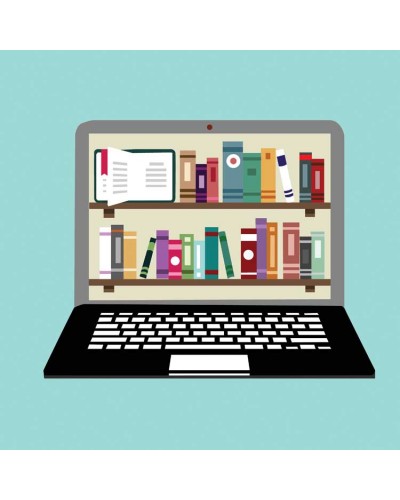 China Tax and Customs Law Guide Online