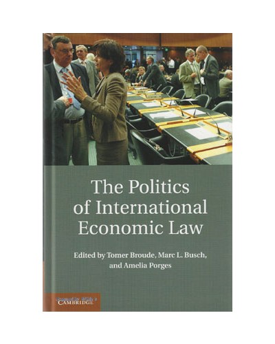 The Politics of International Economic Law 