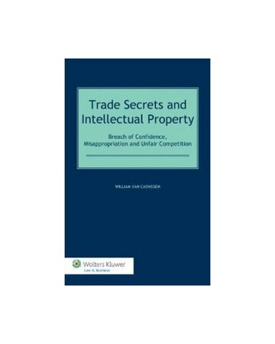 Trade Secrets Law and Intellectual Property