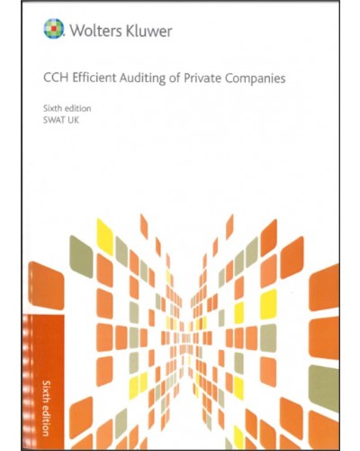 CCH Efficient Auditing of Private Companies