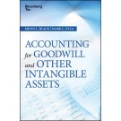 Accounting for Goodwill and Other Intangible Assets