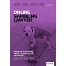 Online Gambling Lawyer: Print + Single-User Online Access