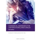 Commercial Awareness for Lawyers: English/Welsh