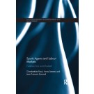 Sports Agents and Labour Market: Evidence from World Football