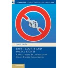 Trust, Courts and Social Rights: A Trust-Based Framework for Social Rights Enforcement