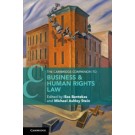The Cambridge Companion to Business and Human Rights Law