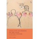 Litigants in Person in the Civil Justice System: In Their Own Words
