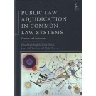 Public Law Adjudication in Common Law Systems: Process and Substance