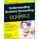 Understanding Business Accounting For Dummies, 3rd Edition (UK Edition)