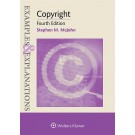 Examples & Explanations for Copyright, 4th Edition